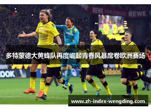 多特蒙德大黄蜂队再度崛起青春风暴席卷欧洲赛场